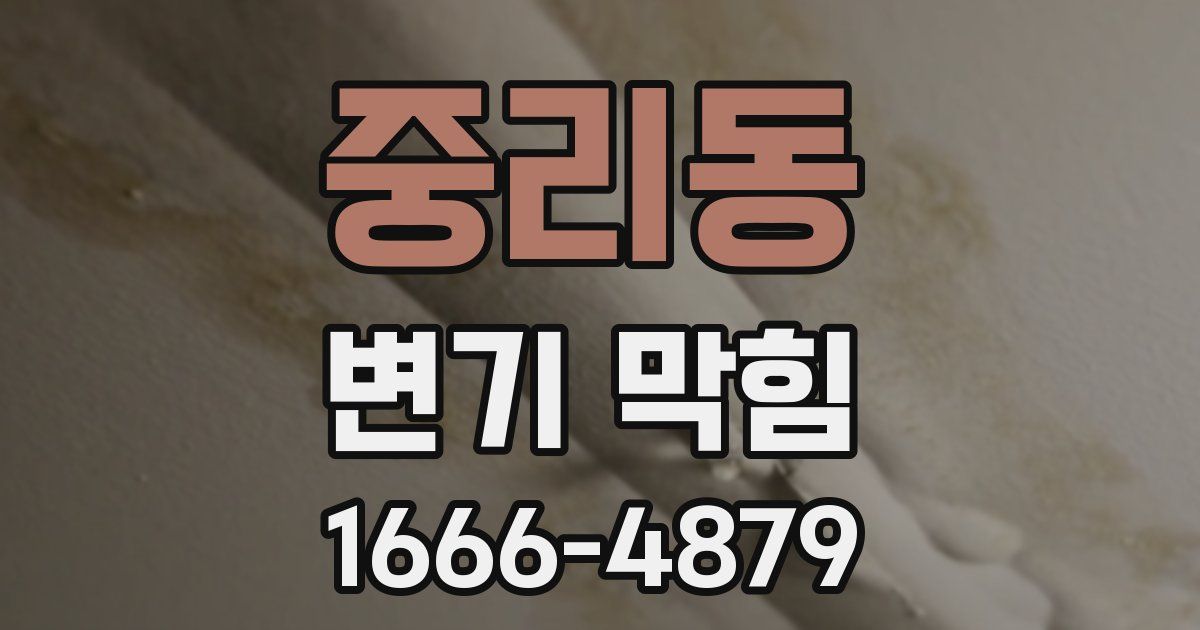 중리동 변기 막힘
