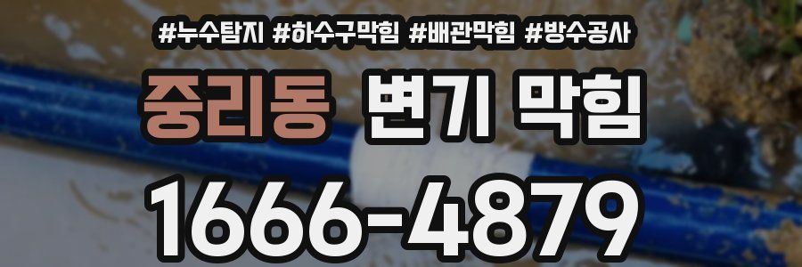 중리동 변기 막힘