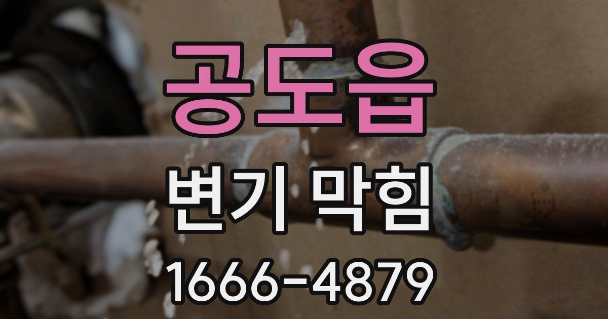 공도읍 변기 막힘