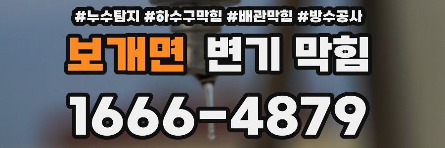 보개면 변기 막힘