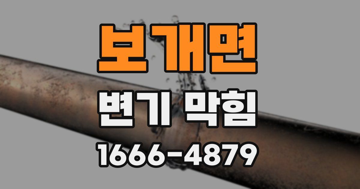 보개면 변기 막힘