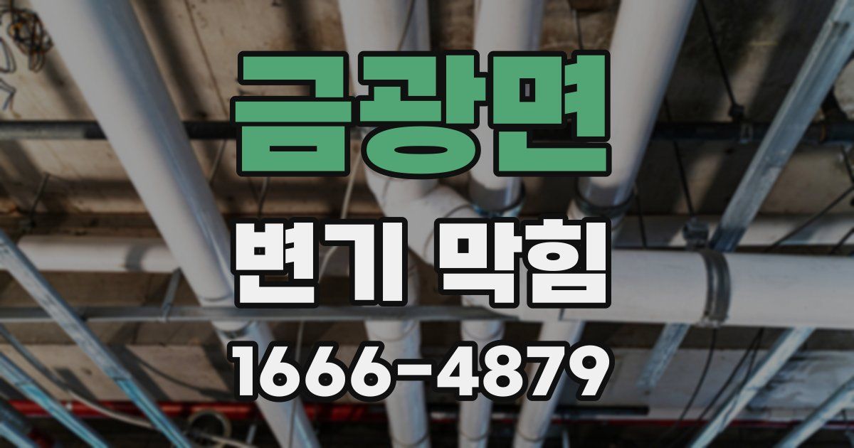 금광면 변기 막힘