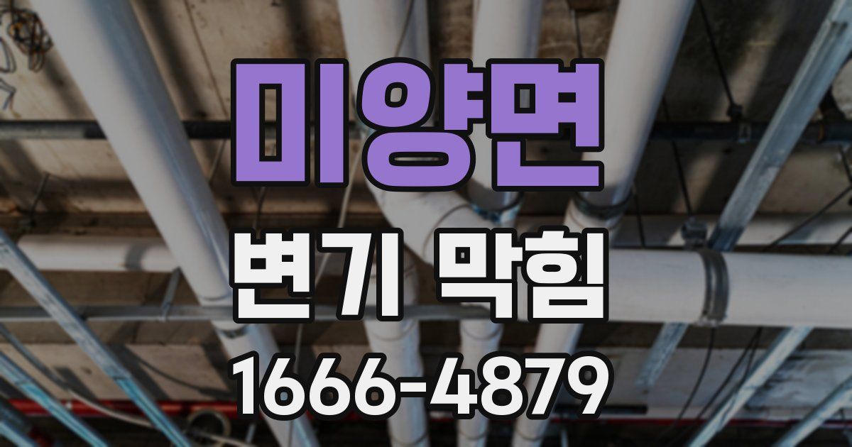 미양면 변기 막힘