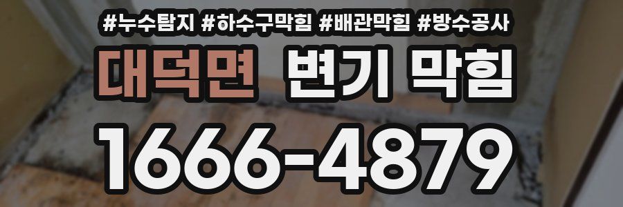 대덕면 변기 막힘
