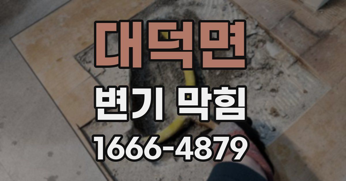 대덕면 변기 막힘