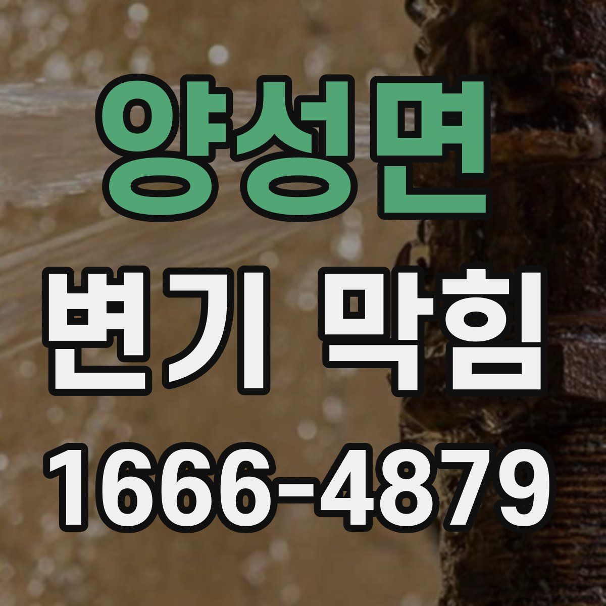 양성면 변기 막힘