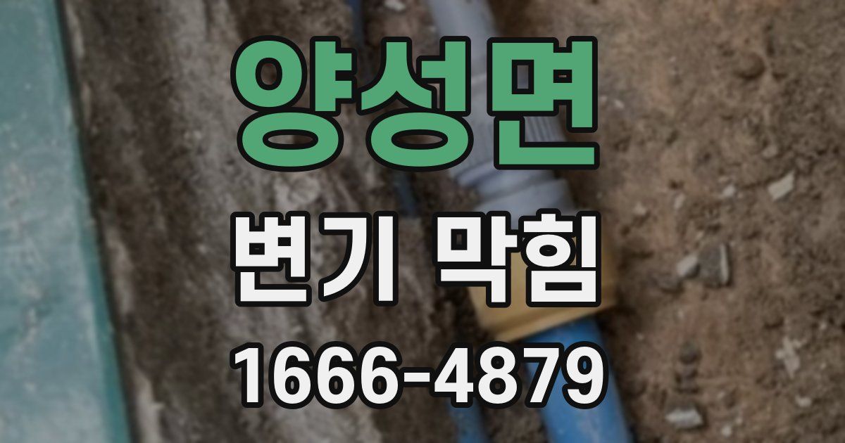 양성면 변기 막힘