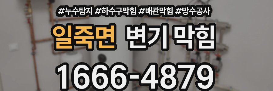 일죽면 변기 막힘