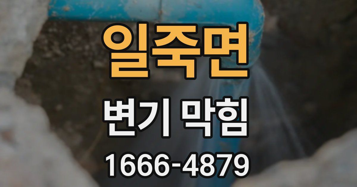 일죽면 변기 막힘