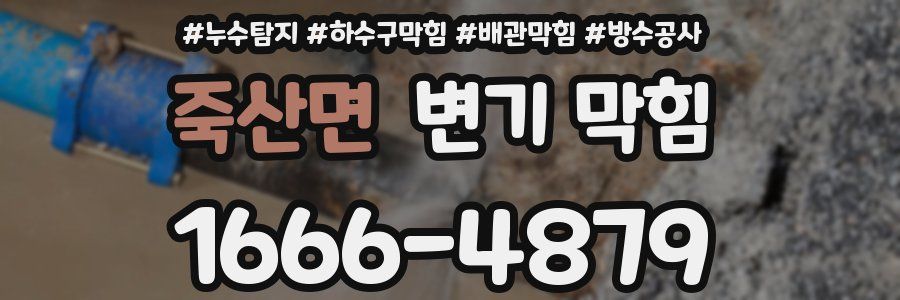 죽산면 변기 막힘