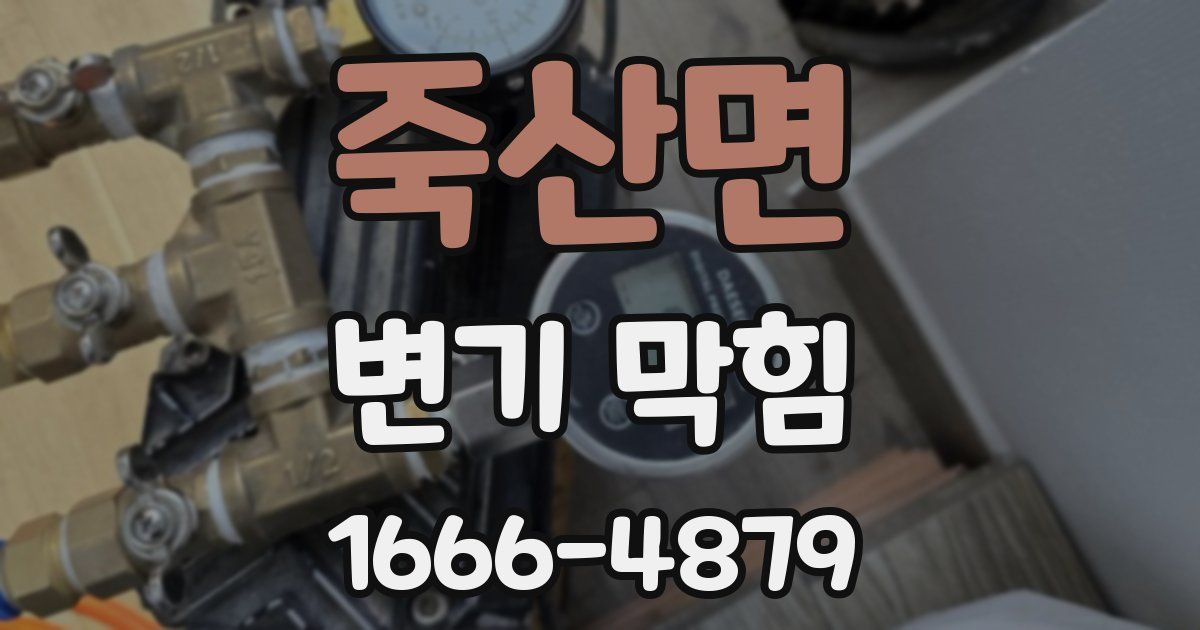 죽산면 변기 막힘