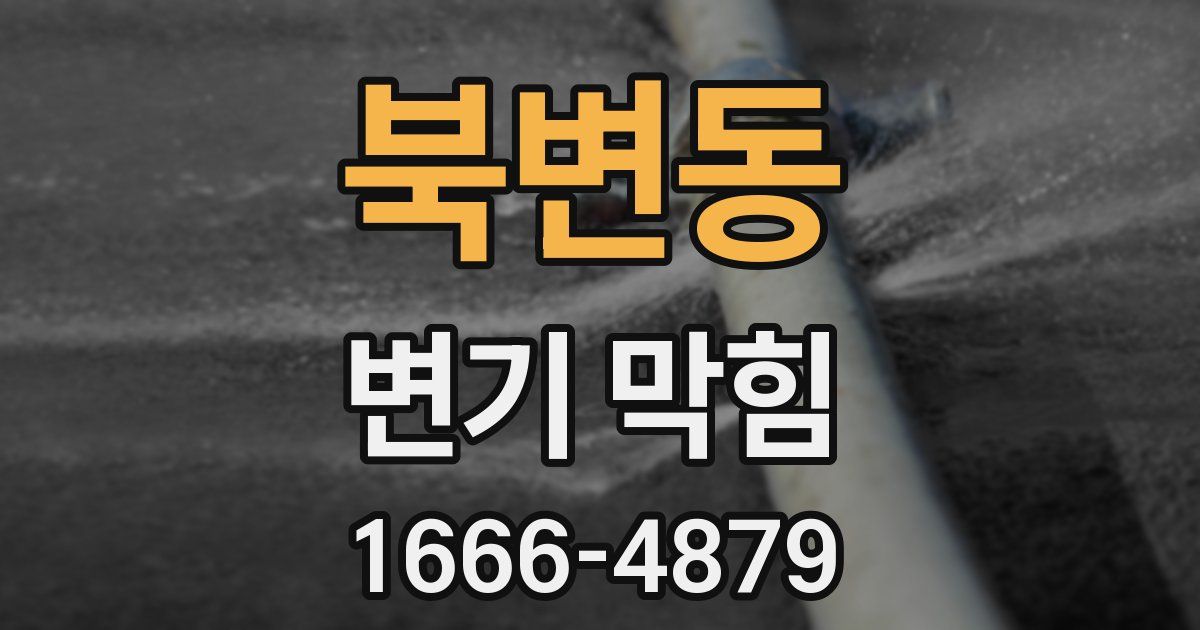 북변동 변기 막힘