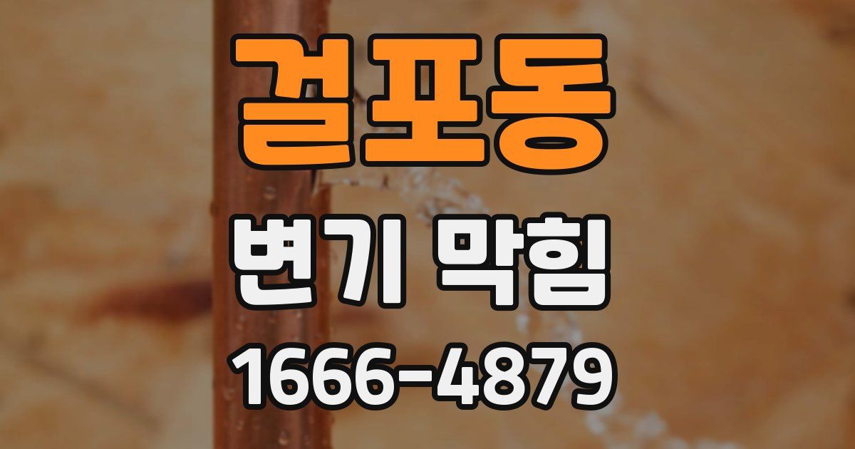 걸포동 변기 막힘