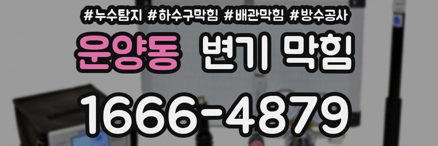 운양동 변기 막힘