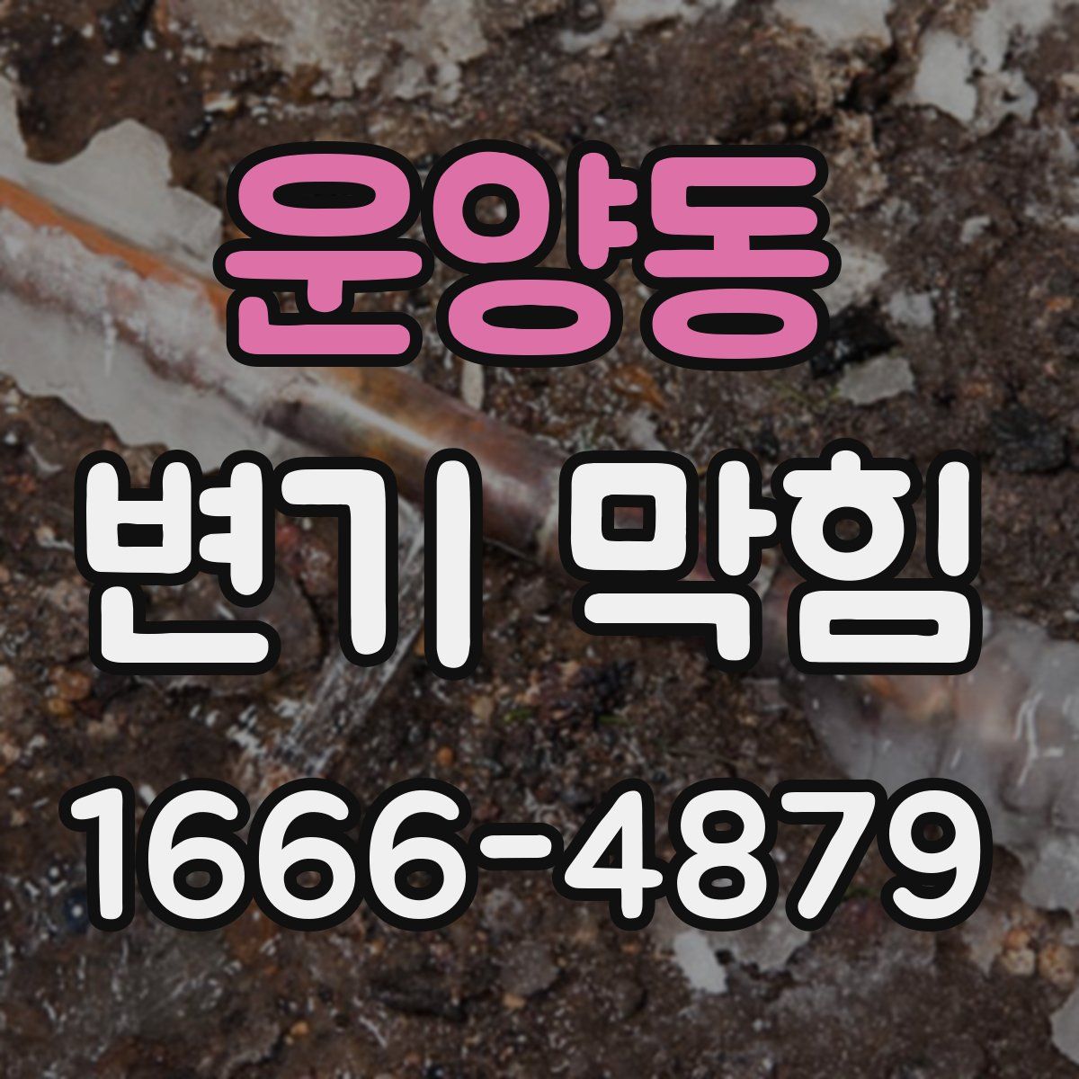 운양동 변기 막힘