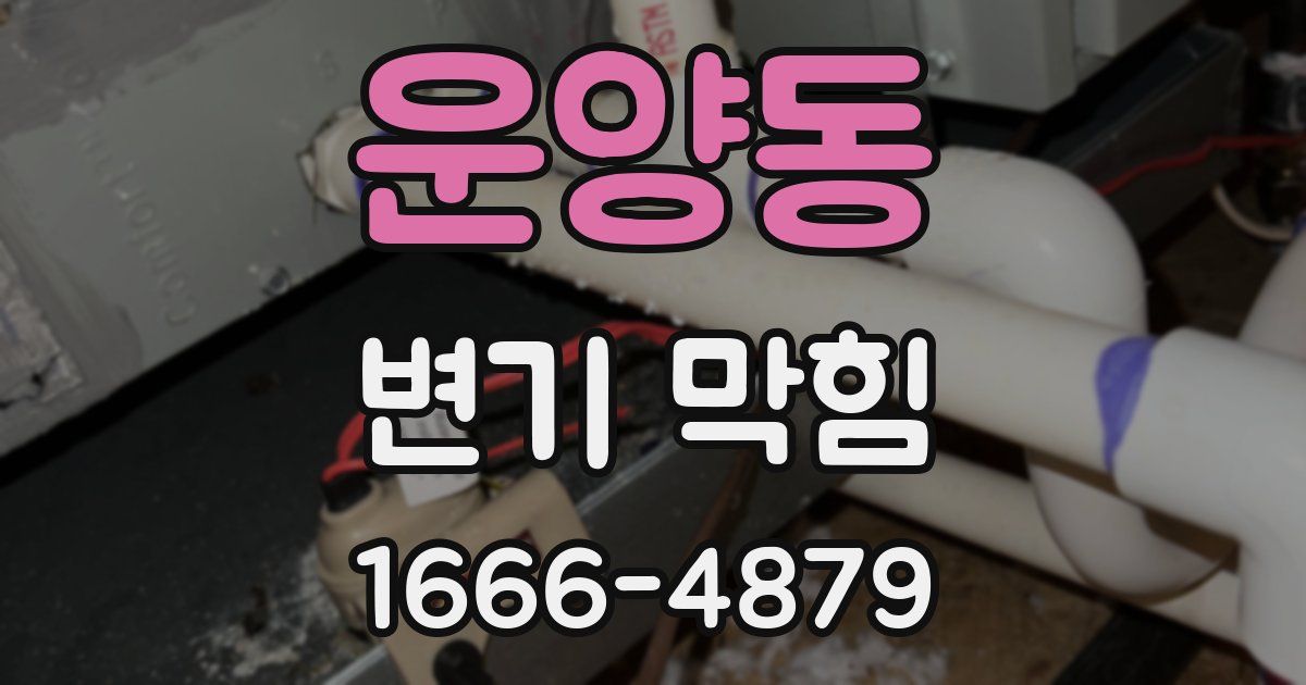 운양동 변기 막힘
