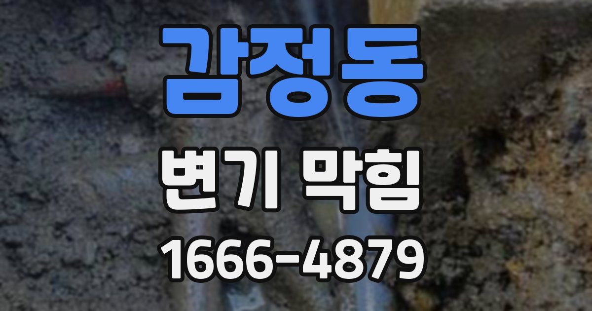 감정동 변기 막힘