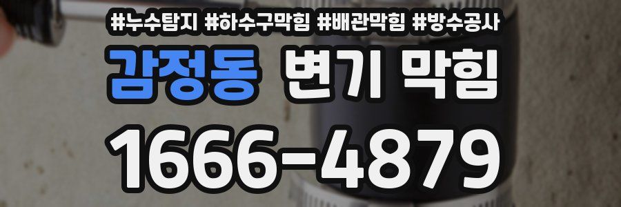 감정동 변기 막힘