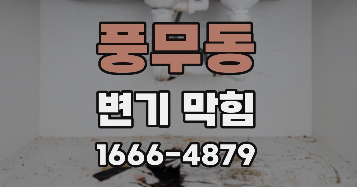 풍무동 변기 막힘