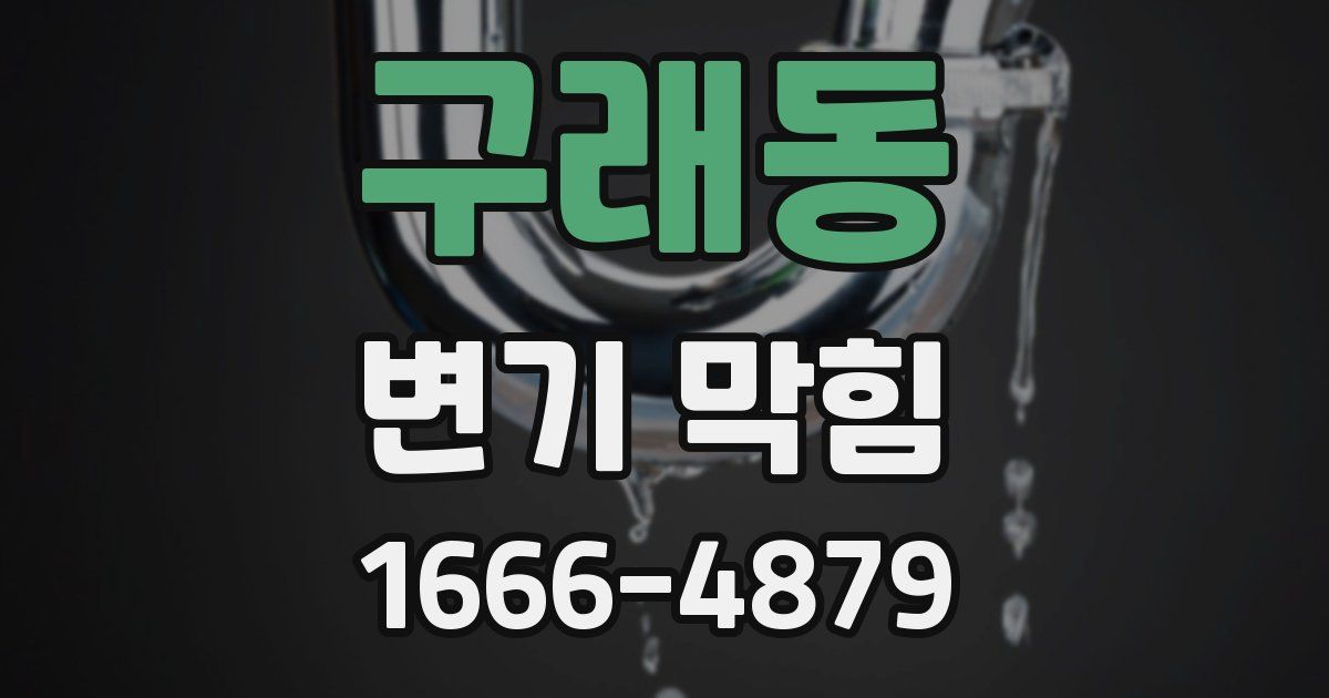 구래동 변기 막힘