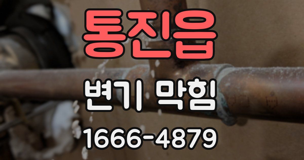 통진읍 변기 막힘