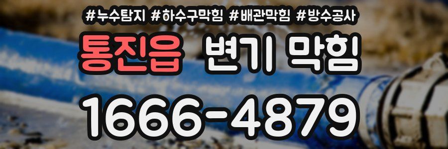 통진읍 변기 막힘