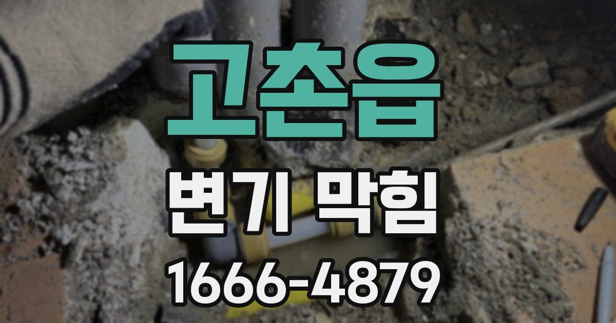 고촌읍 변기 막힘