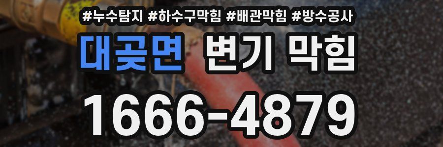 대곶면 변기 막힘