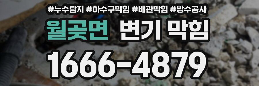 월곶면 변기 막힘