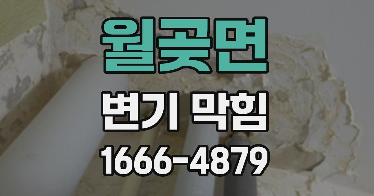 월곶면 변기 막힘