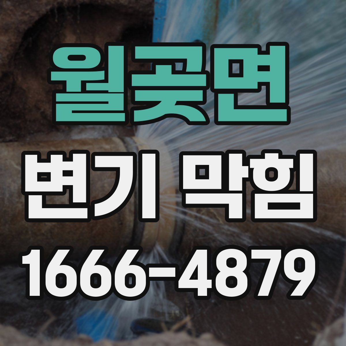 월곶면 변기 막힘