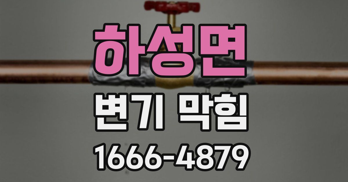 하성면 변기 막힘