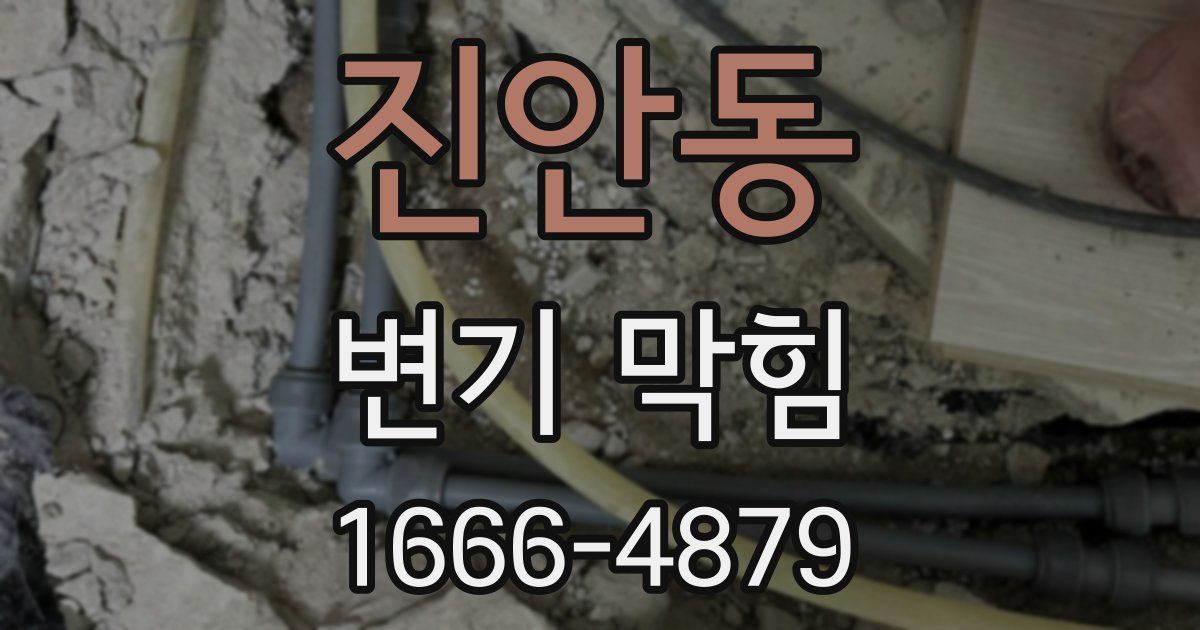 진안동 변기 막힘
