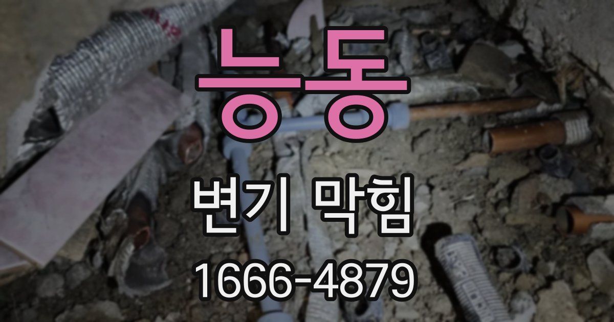 능동 변기 막힘