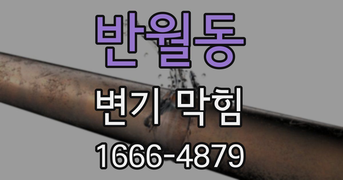반월동 변기 막힘