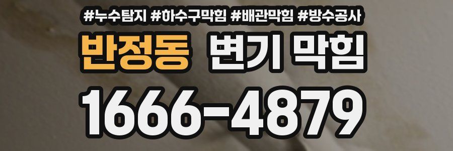 반정동 변기 막힘