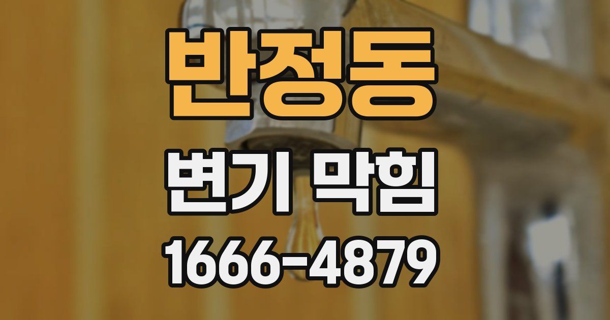반정동 변기 막힘