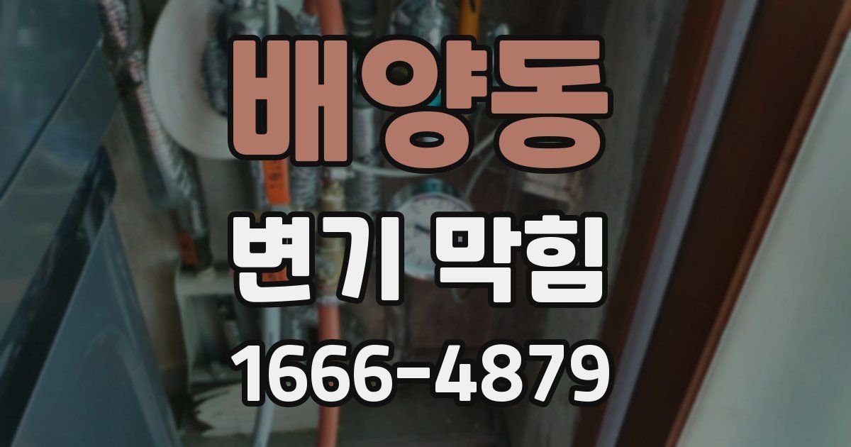 배양동 변기 막힘