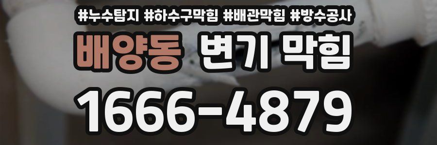 배양동 변기 막힘