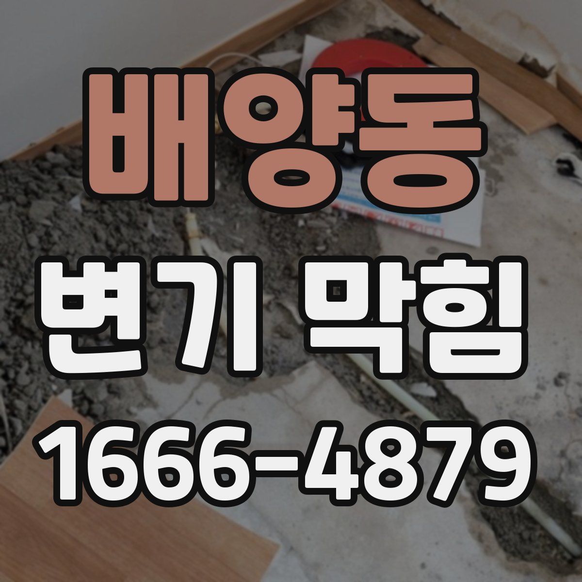 배양동 변기 막힘