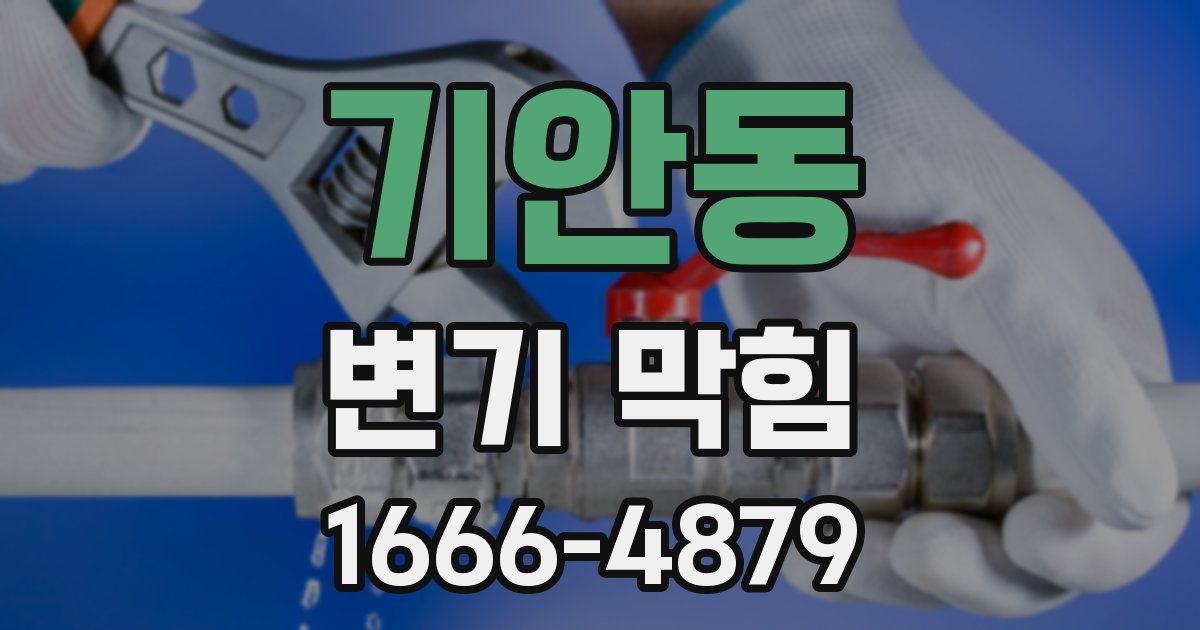 기안동 변기 막힘