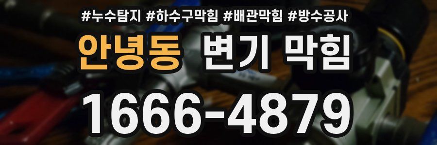 안녕동 변기 막힘