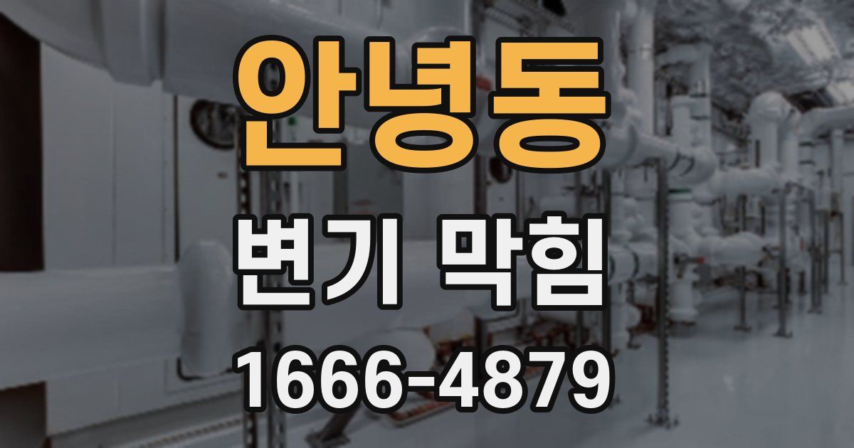 안녕동 변기 막힘