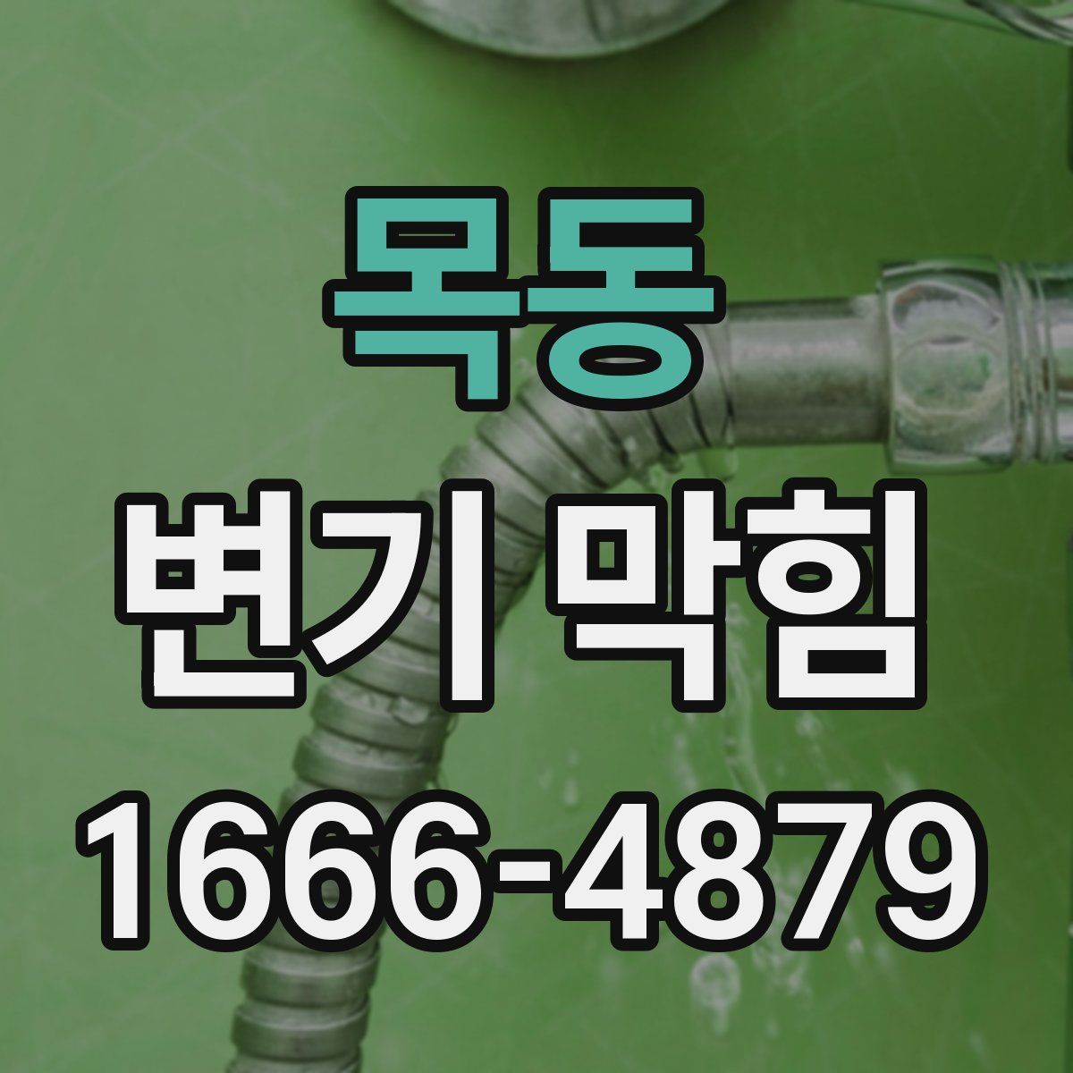 목동 변기 막힘