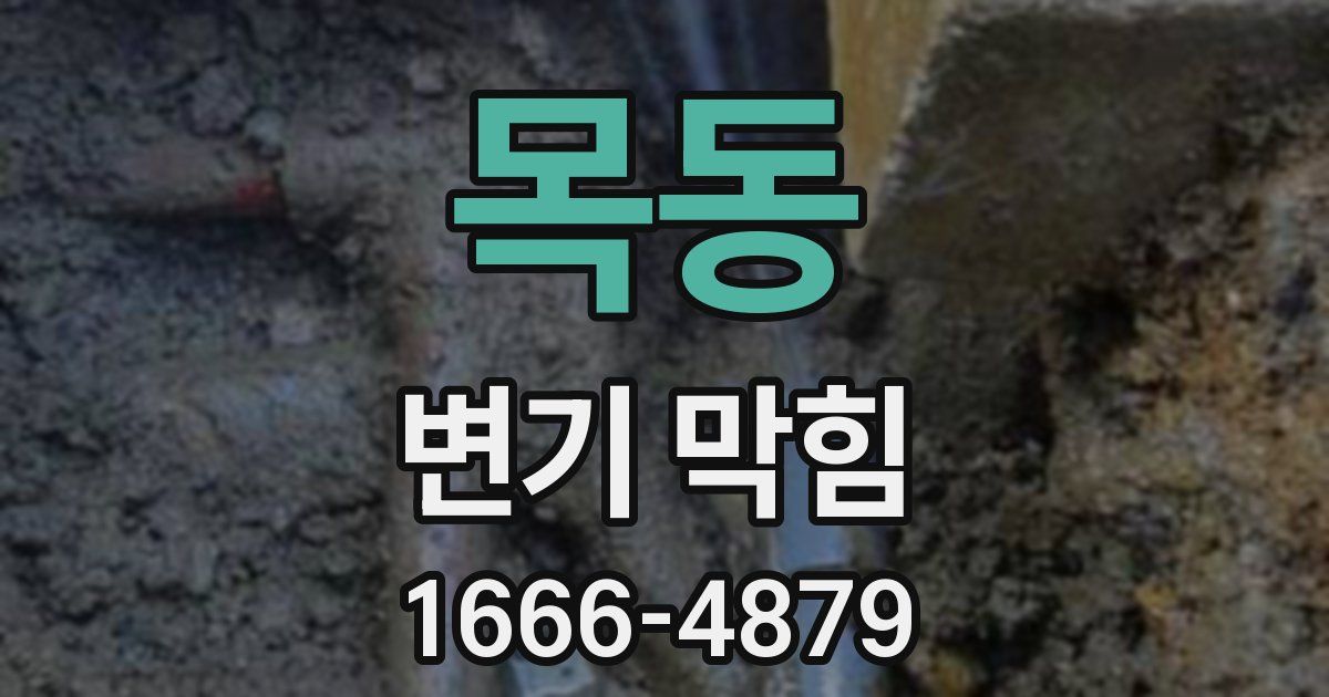 목동 변기 막힘