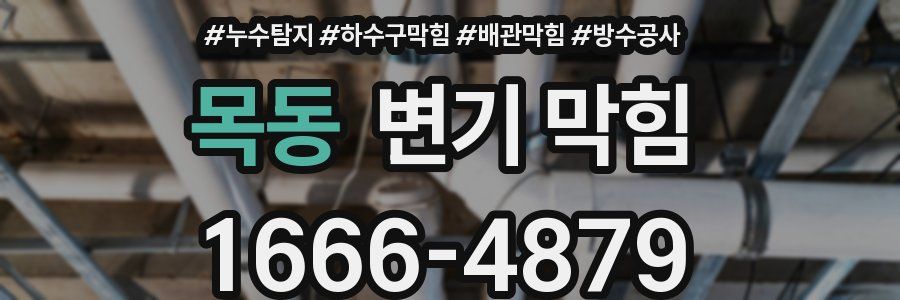 목동 변기 막힘
