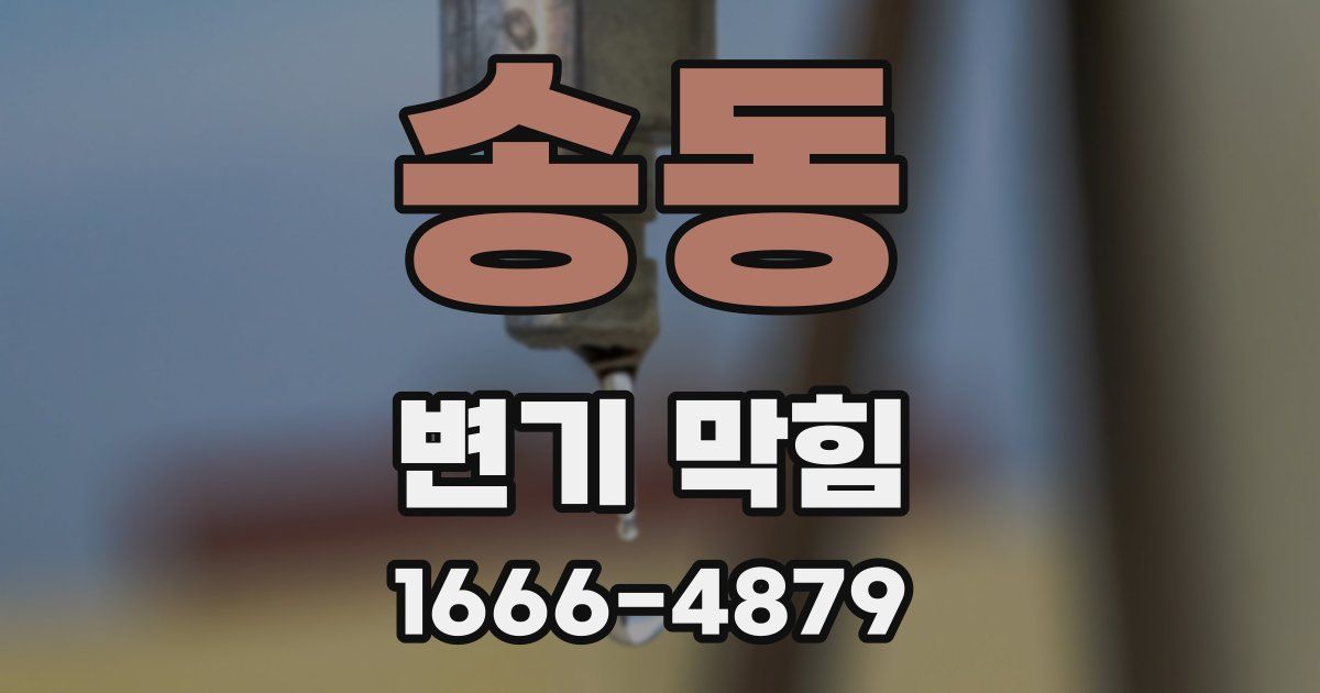 송동 변기 막힘
