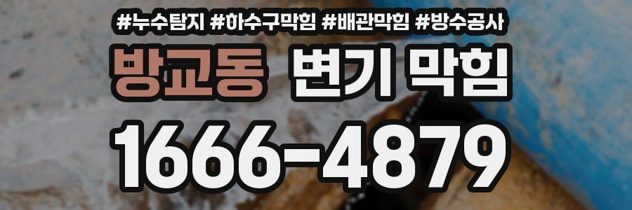 방교동 변기 막힘