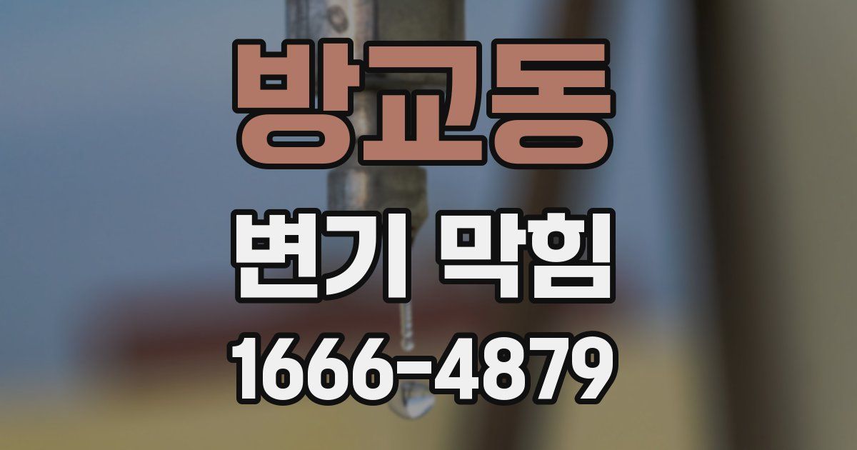 방교동 변기 막힘