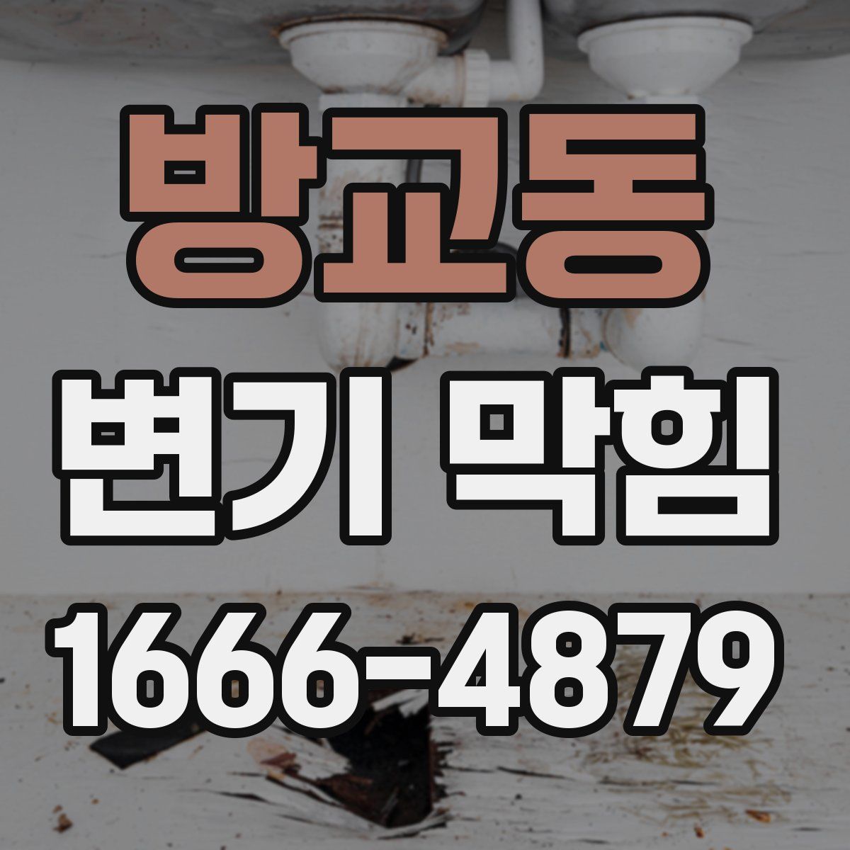 방교동 변기 막힘